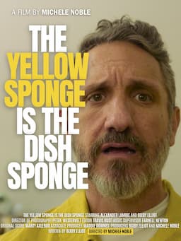 The Yellow Sponge is the Dish Sponge