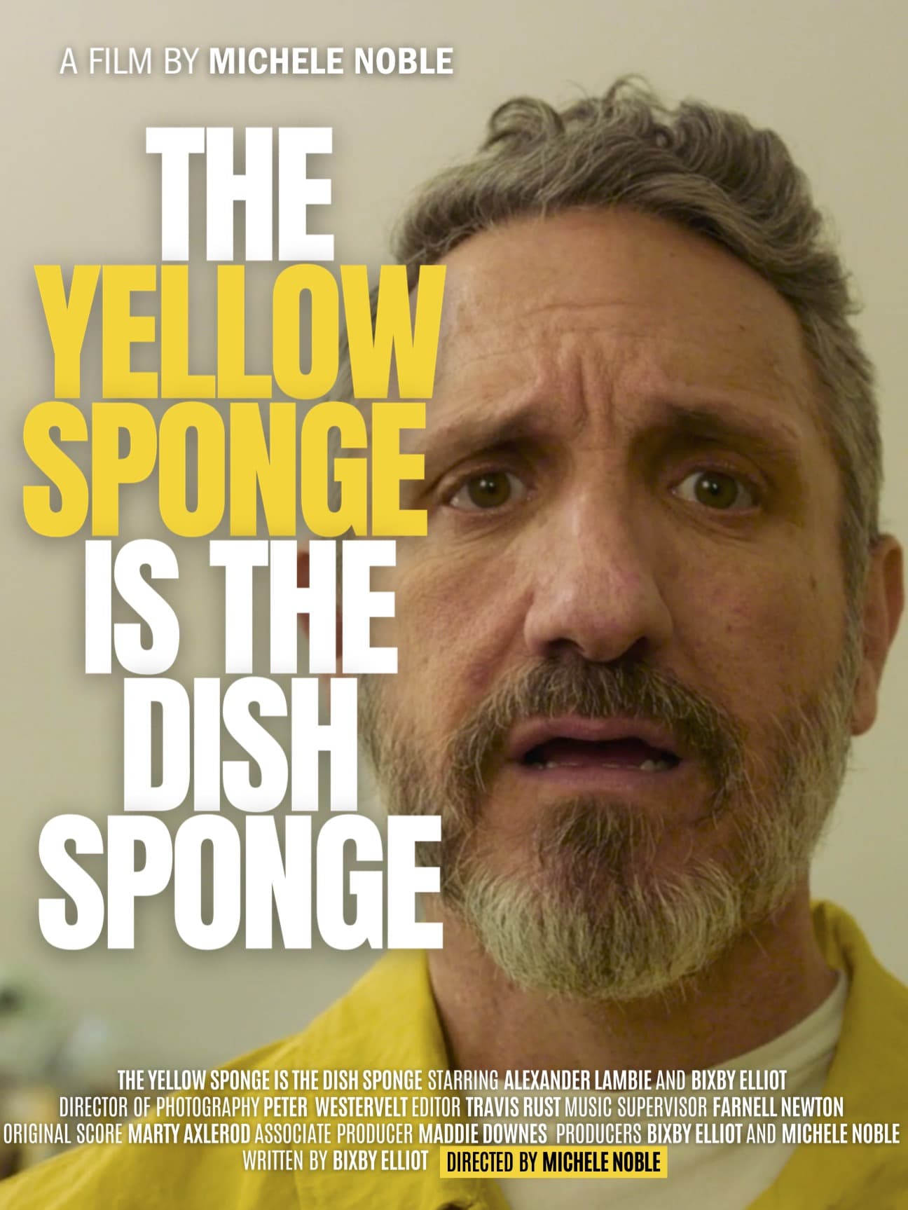 The Yellow Sponge is the Dish Sponge